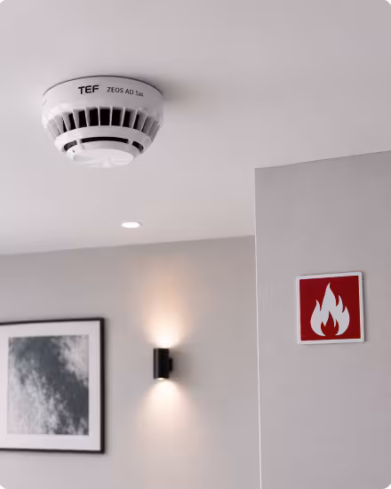 branddetectie detector